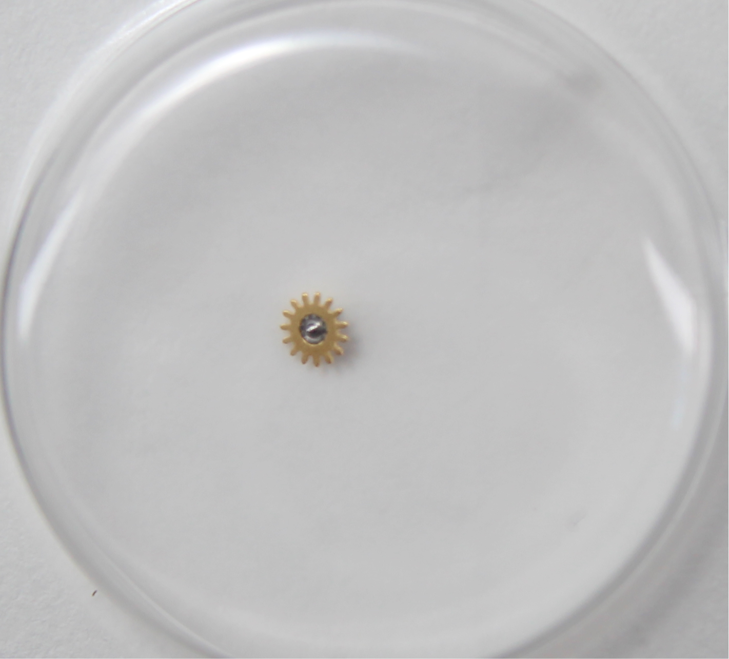 NEW Rolex 3155-670 Ruota Del Calendario Nuovo In Blister