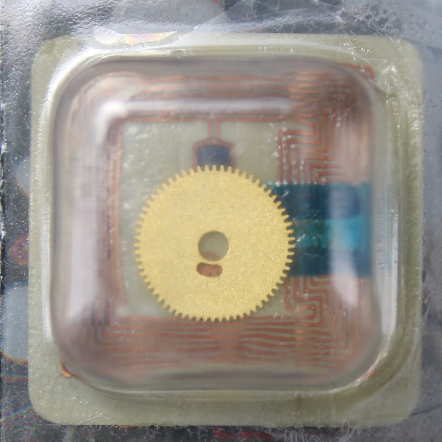 Ruota Calendario