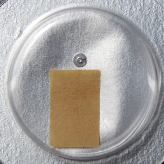NEW Rolex 3135 3035-5021 Disco Plateau Nuovo in Blister