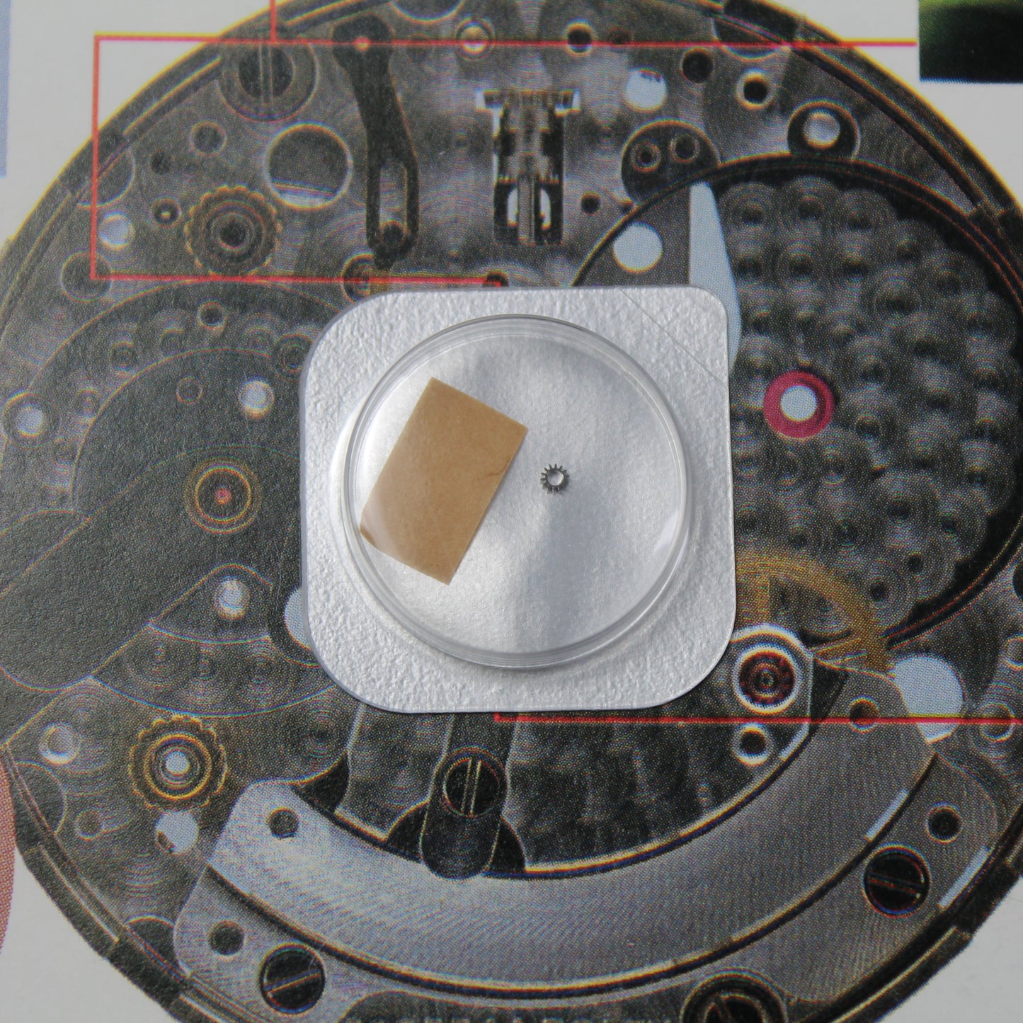 NEW Rolex 2230-250 Rinvio Originale In Blister