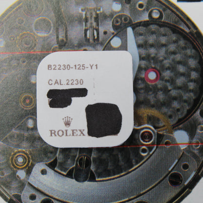 NEW Rolex 2230-125 Ponte del Pignone dei Minuti Originale In Blister