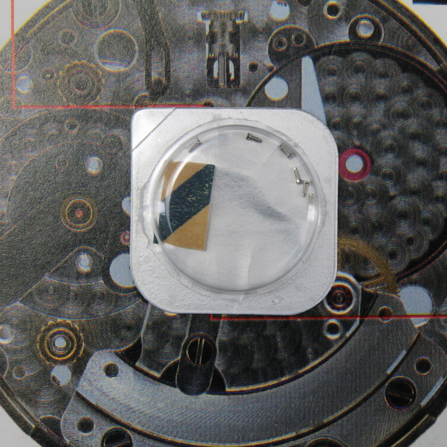 NEW Rolex 3135-5013 Vite del quadrante Nuova In Blister x1pc