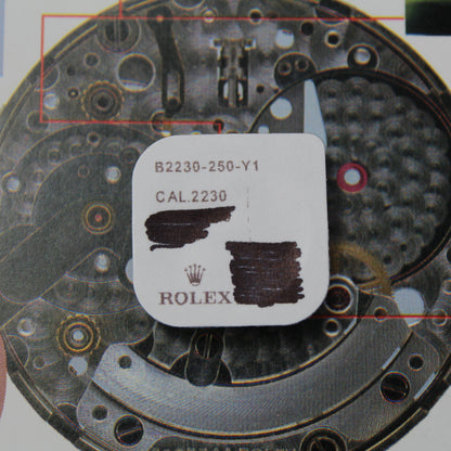 NEW Rolex 2230-250 Rinvio Originale In Blister