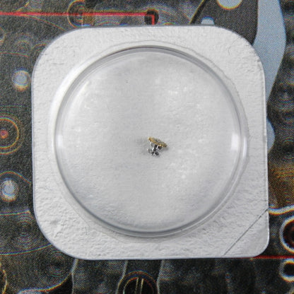 NEW Rolex 3185-670 Ruota Intermedia della Data Nuova In Blister