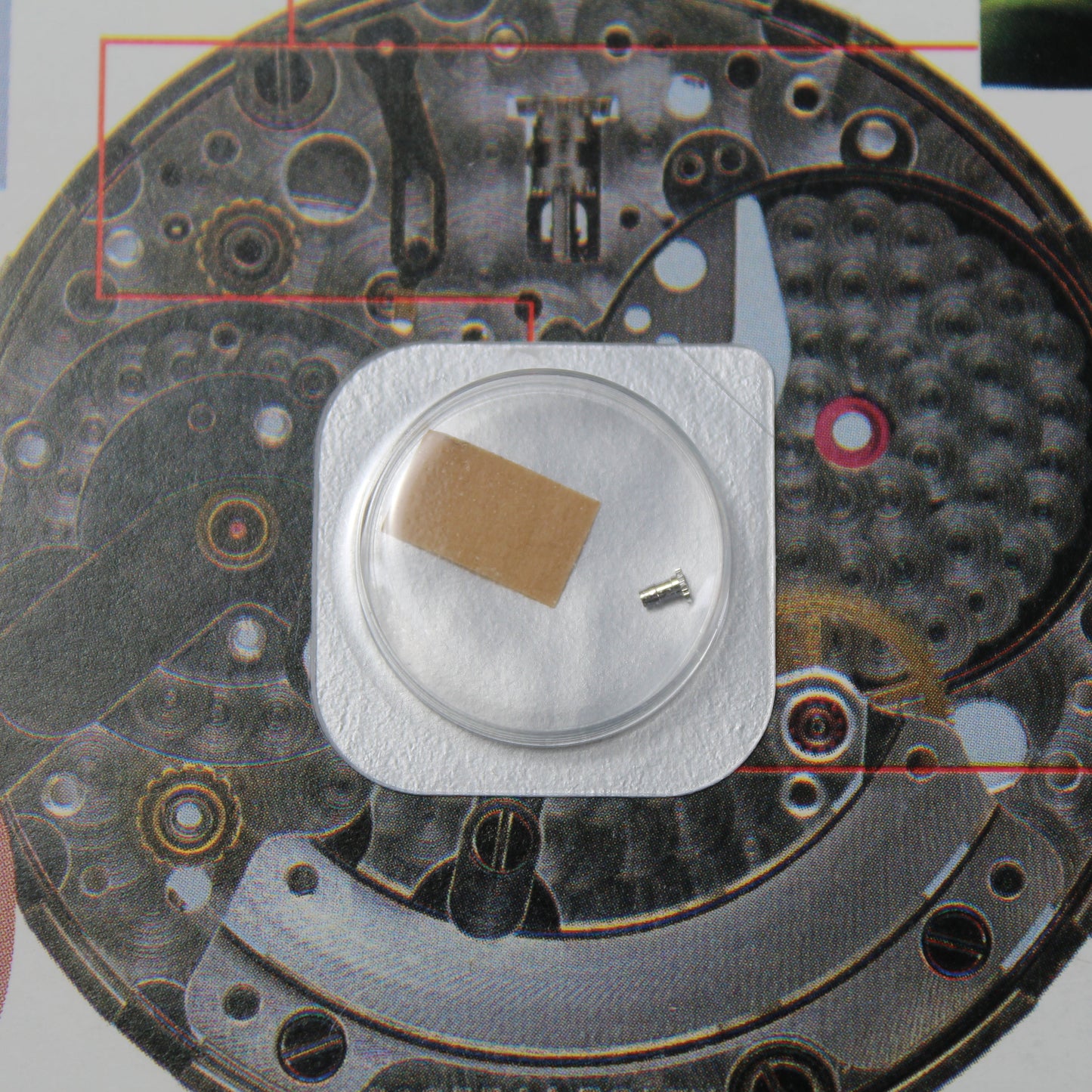 NEW Rolex 2232-270 Pignone Originale In Blister