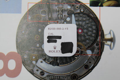NEW Rolex 2130-560-2 Chiavetta Massa Oscillante Originale In Blister x1pc