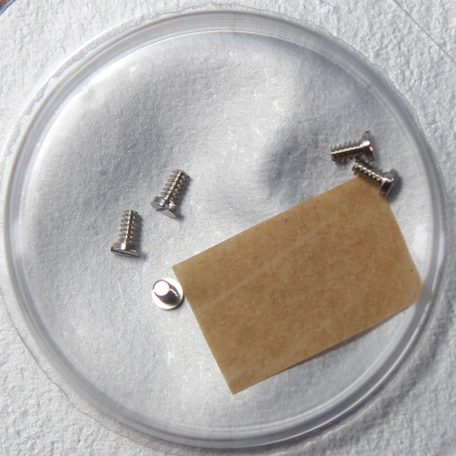 NEW Rolex 3035-55001 Vite per Ponte del Bariletto e Ponte del Ruotismo Nuovo in Blister